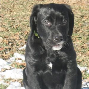 Meet your Posher, Kelsey